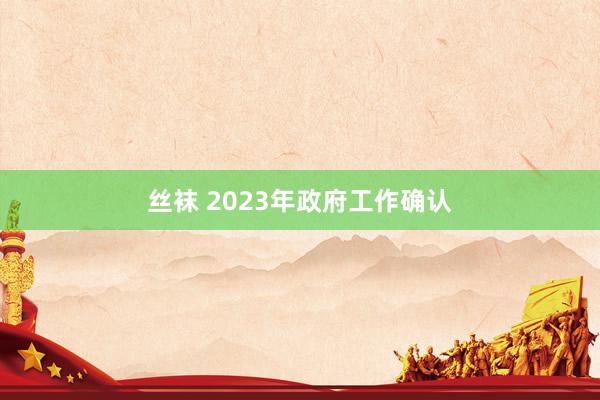 丝袜 2023年政府工作确认