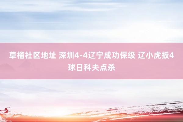 草榴社区地址 深圳4-4辽宁成功保级 辽小虎扳4球日科夫点杀