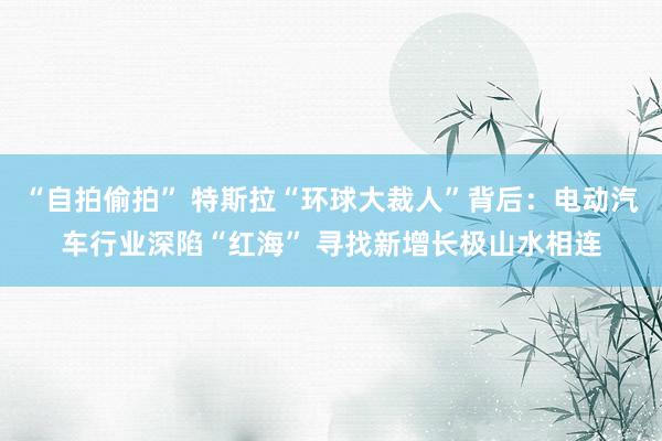 “自拍偷拍” 特斯拉“环球大裁人”背后：电动汽车行业深陷“红海” 寻找新增长极山水相连