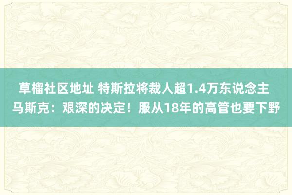 草榴社区地址 特斯拉将裁人超1.4万东说念主 马斯克：艰深的决定！服从18年的高管也要下野