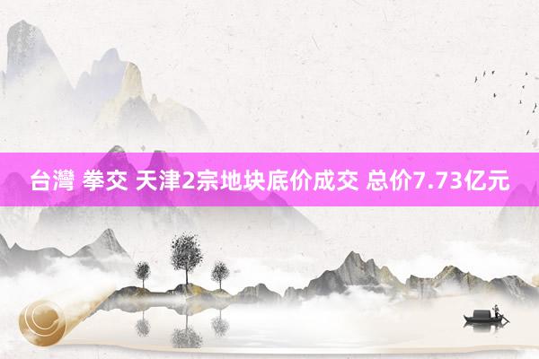 台灣 拳交 天津2宗地块底价成交 总价7.73亿元