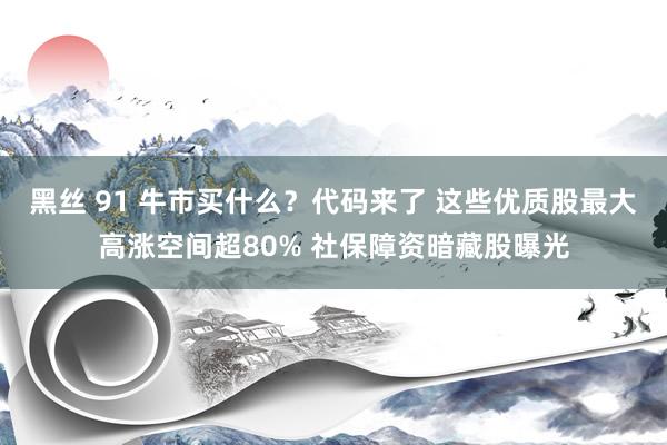 黑丝 91 牛市买什么？代码来了 这些优质股最大高涨空间超80% 社保障资暗藏股曝光
