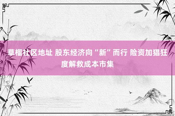 草榴社区地址 股东经济向“新”而行 险资加猖狂度解救成本市集