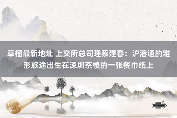 草榴最新地址 上交所总司理蔡建春：沪港通的雏形旅途出生在深圳茶楼的一张餐巾纸上