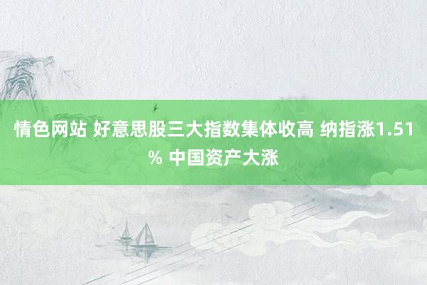 情色网站 好意思股三大指数集体收高 纳指涨1.51% 中国资产大涨
