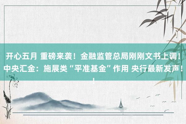 开心五月 重磅来袭！金融监管总局刚刚文书上调！中央汇金：施展类“平准基金”作用 央行最新发声！