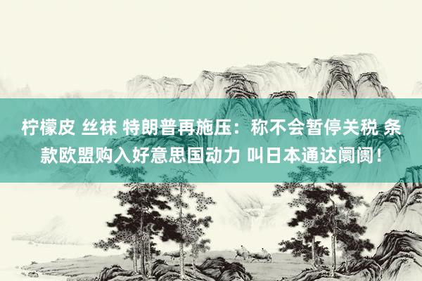 柠檬皮 丝袜 特朗普再施压：称不会暂停关税 条款欧盟购入好意思国动力 叫日本通达阛阓！