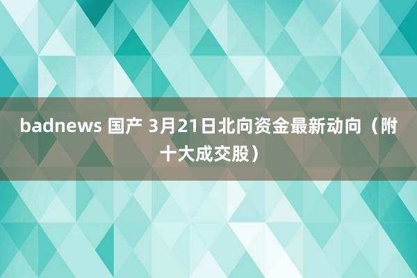 badnews 国产 3月21日北向资金最新动向（附十大成交股）