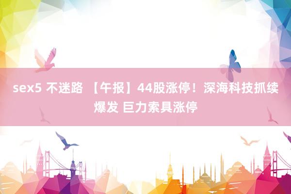 sex5 不迷路 【午报】44股涨停！深海科技抓续爆发 巨力索具涨停