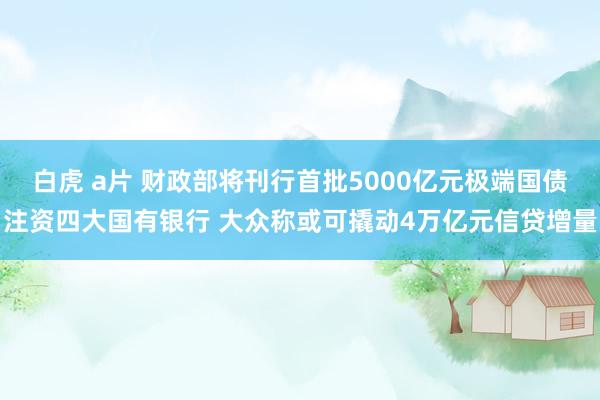 白虎 a片 财政部将刊行首批5000亿元极端国债注资四大国有银行 大众称或可撬动4万亿元信贷增量