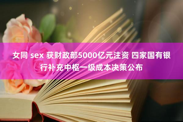 女同 sex 获财政部5000亿元注资 四家国有银行补充中枢一级成本决策公布